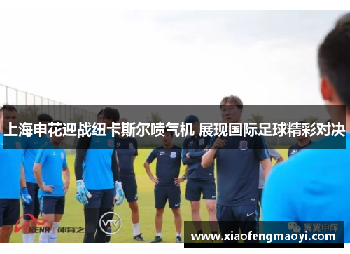 上海申花迎战纽卡斯尔喷气机 展现国际足球精彩对决