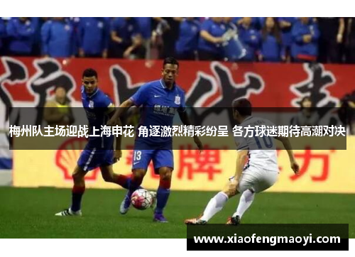 梅州队主场迎战上海申花 角逐激烈精彩纷呈 各方球迷期待高潮对决