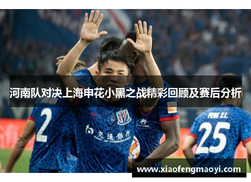 河南队对决上海申花小黑之战精彩回顾及赛后分析